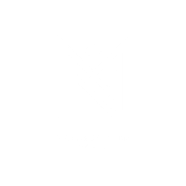 Mohamed Nour Designs